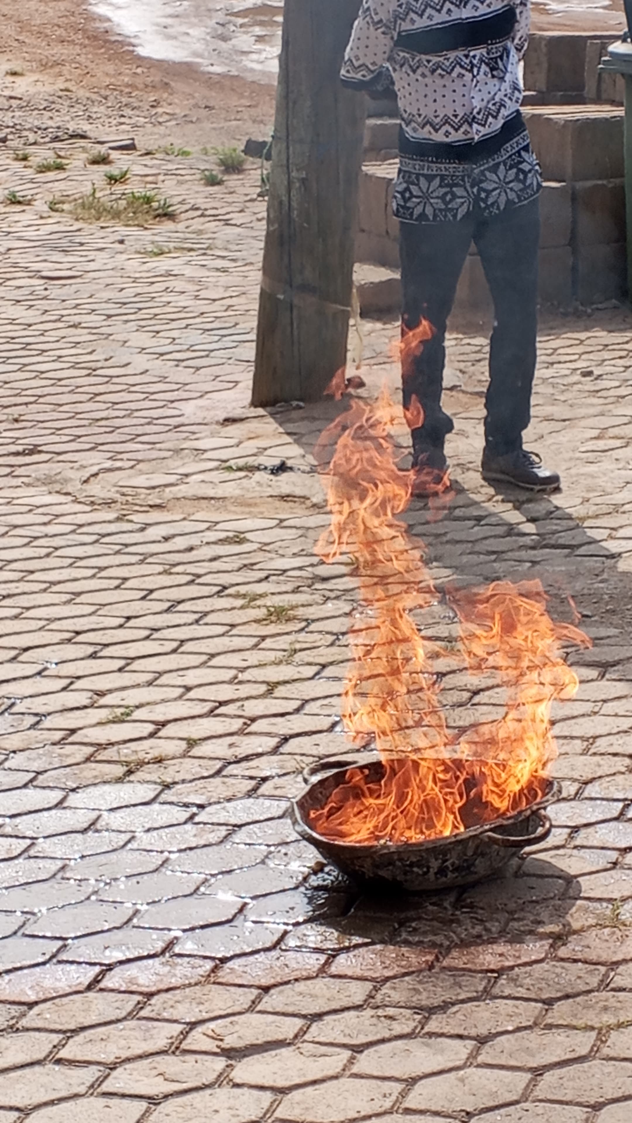 IMG 20260303 090144 813 z41vbn